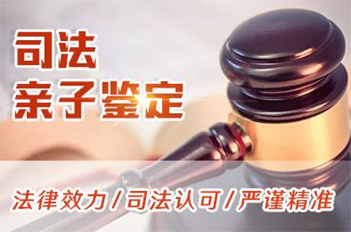 铜仁司法亲子鉴定出结果时间,