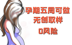 铜仁怀孕了如何办理怀孕亲子鉴定，铜仁办理无创产前亲子鉴定多少钱一次